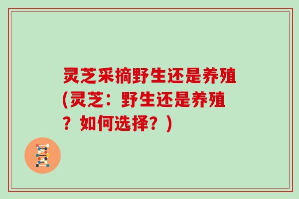 灵芝采摘野生还是养殖(灵芝：野生还是养殖？如何选择？)