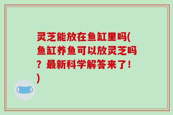 灵芝能放在鱼缸里吗(鱼缸养鱼可以放灵芝吗？最新科学解答来了！)