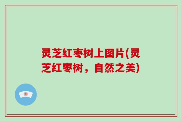 灵芝红枣树上图片(灵芝红枣树,自然之美)