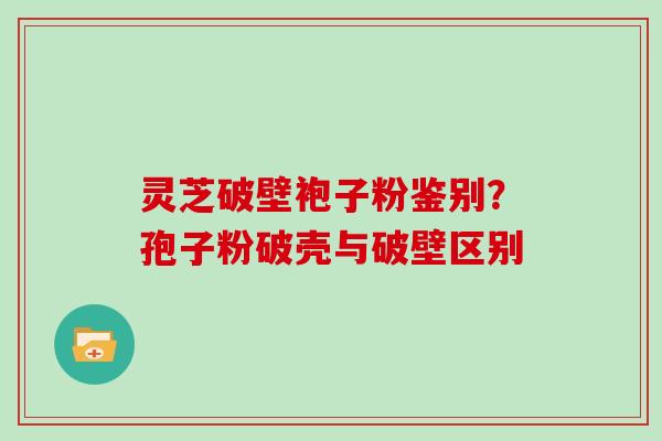 灵芝破壁袍子粉鉴别?孢子粉破壳与破壁区别