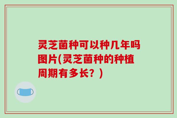 灵芝菌种可以种几年吗图片(灵芝菌种的种植周期有多长?)