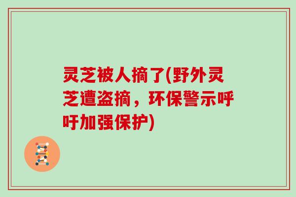 灵芝被人摘了(野外灵芝遭盗摘,环保警示呼吁加强保护)