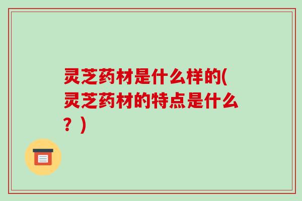 灵芝药材是什么样的(灵芝药材的特点是什么?)