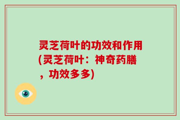 灵芝荷叶的功效和作用(灵芝荷叶:神奇药膳,功效多多)