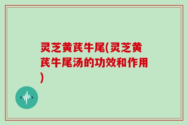灵芝黄芪牛尾(灵芝黄芪牛尾汤的功效和作用)