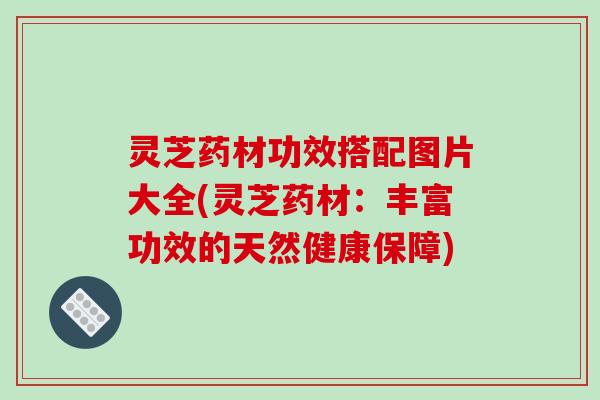 灵芝药材功效搭配图片大全(灵芝药材:丰富功效的天然健康保障)