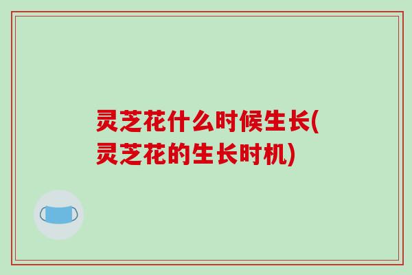 灵芝花什么时候生长(灵芝花的生长时机)