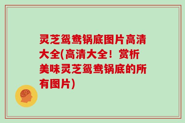 灵芝鸳鸯锅底图片高清大全(高清大全!赏析美味灵芝鸳鸯锅底的所有图片)