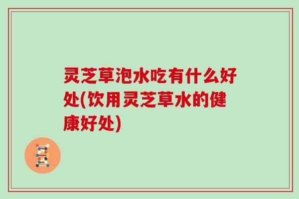 灵芝草泡水吃有什么好处(饮用灵芝草水的健康好处)
