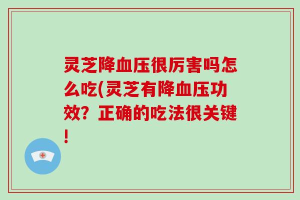 灵芝降血压很厉害吗怎么吃(灵芝有降血压功效？正确的吃法很关键!