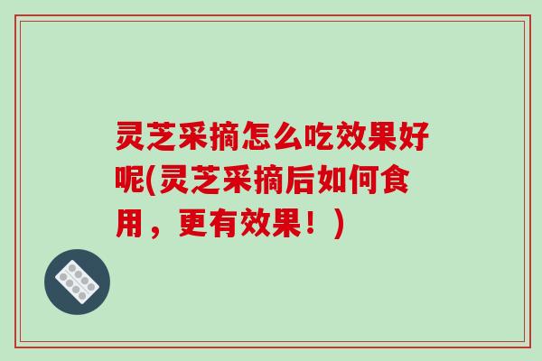 灵芝采摘怎么吃效果好呢(灵芝采摘后如何食用，更有效果！)