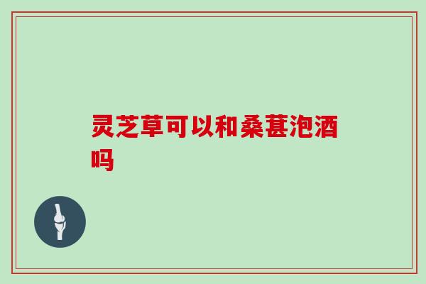 灵芝草可以和桑葚泡酒吗
