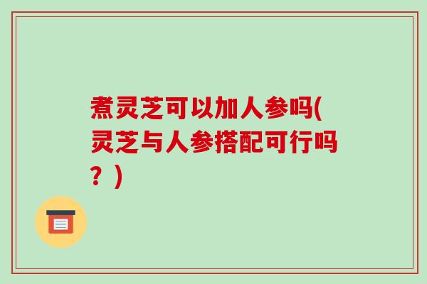 煮灵芝可以加人参吗(灵芝与人参搭配可行吗？)