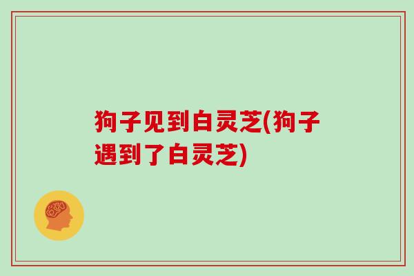 狗子见到白灵芝(狗子遇到了白灵芝)