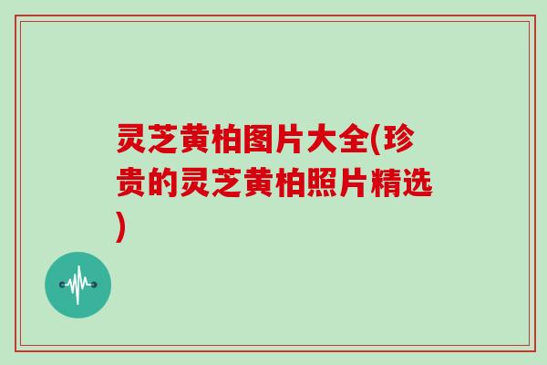 灵芝黄柏图片大全(珍贵的灵芝黄柏照片精选)