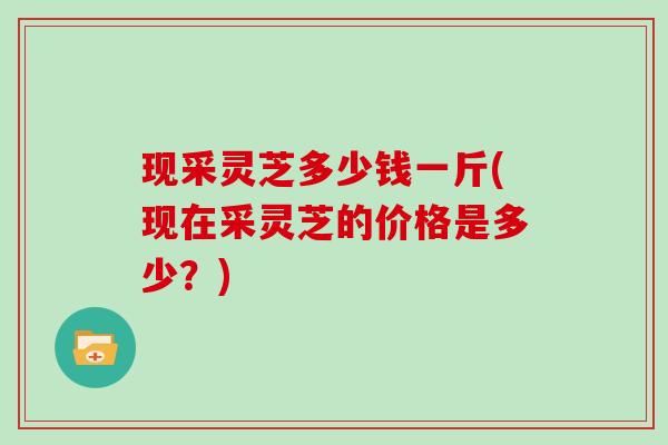 现采灵芝多少钱一斤(现在采灵芝的价格是多少？)