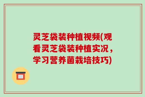 灵芝袋装种植视频(观看灵芝袋装种植实况,学习营养菌栽培技巧)
