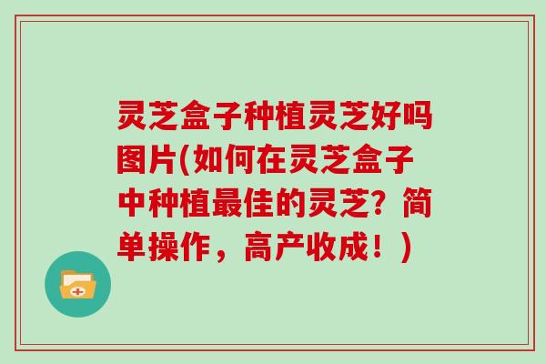 灵芝盒子种植灵芝好吗图片(如何在灵芝盒子中种植最佳的灵芝?简单操作,高产收成!)