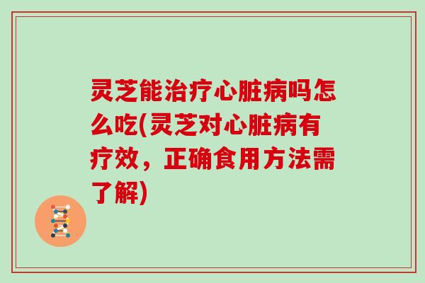 灵芝能治疗心脏病吗怎么吃(灵芝对心脏病有疗效，正确食用方法需了解)