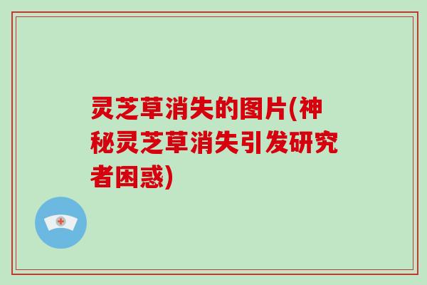 灵芝草消失的图片(神秘灵芝草消失引发研究者困惑)