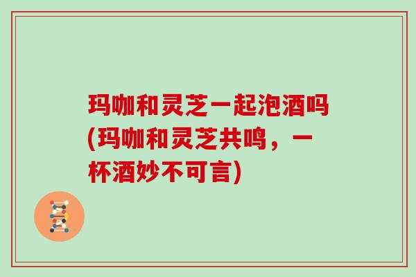 玛咖和灵芝一起泡酒吗(玛咖和灵芝共鸣,一杯酒妙不可言)