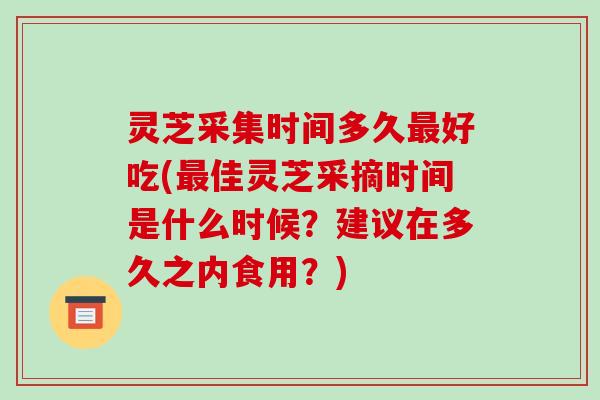 灵芝采集时间多久最好吃(最佳灵芝采摘时间是什么时候?建议在多久之内食用?)