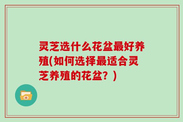 灵芝选什么花盆最好养殖(如何选择最适合灵芝养殖的花盆？)