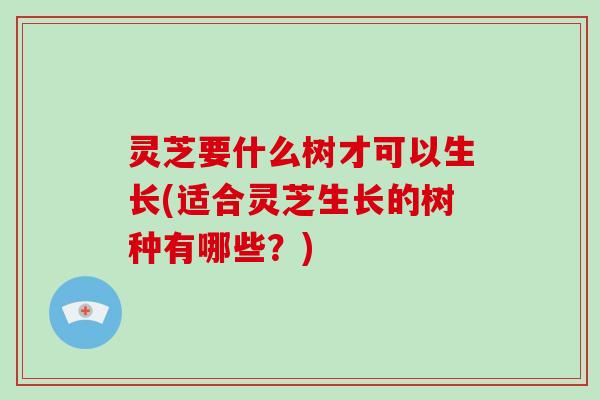 灵芝要什么树才可以生长(适合灵芝生长的树种有哪些?)