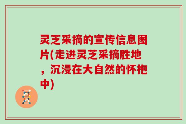 灵芝采摘的宣传信息图片(走进灵芝采摘胜地，沉浸在大自然的怀抱中)
