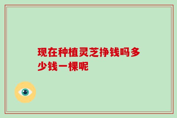 现在种植灵芝挣钱吗多少钱一棵呢