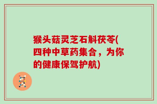 猴头菇灵芝石斛茯苓(四种中草药集合，为你的健康保驾护航)