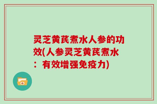 灵芝黄芪煮水人参的功效(人参灵芝黄芪煮水:有效增强免疫力)