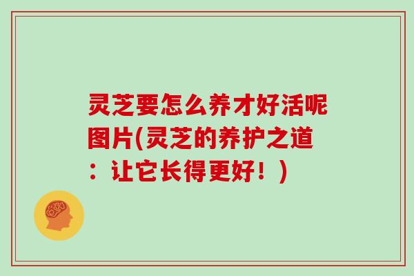 灵芝要怎么养才好活呢图片(灵芝的养护之道：让它长得更好！)