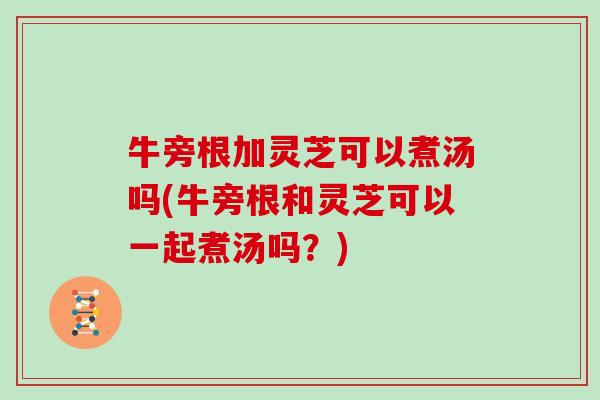牛旁根加灵芝可以煮汤吗(牛旁根和灵芝可以一起煮汤吗?)