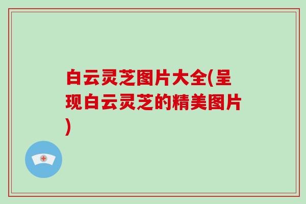 白云灵芝图片大全(呈现白云灵芝的精美图片)