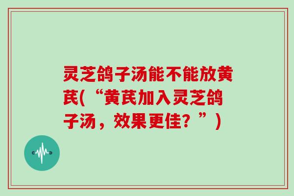 灵芝鸽子汤能不能放黄芪(“黄芪加入灵芝鸽子汤,效果更佳?”)