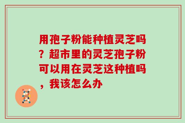 用孢子粉能种植灵芝吗？超市里的灵芝孢子粉可以用在灵芝这种植吗，我该怎么办