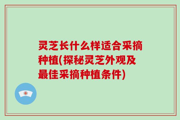 灵芝长什么样适合采摘种植(探秘灵芝外观及最佳采摘种植条件)