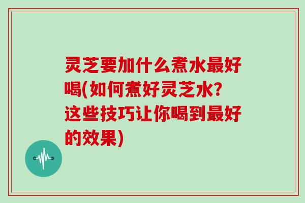 灵芝要加什么煮水最好喝(如何煮好灵芝水?这些技巧让你喝到最好的效果)