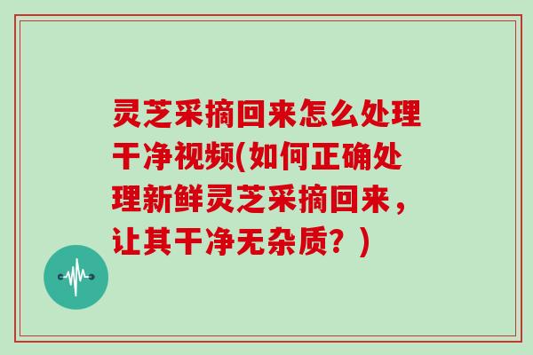 灵芝采摘回来怎么处理干净视频(如何正确处理新鲜灵芝采摘回来,让其干净无杂质?)