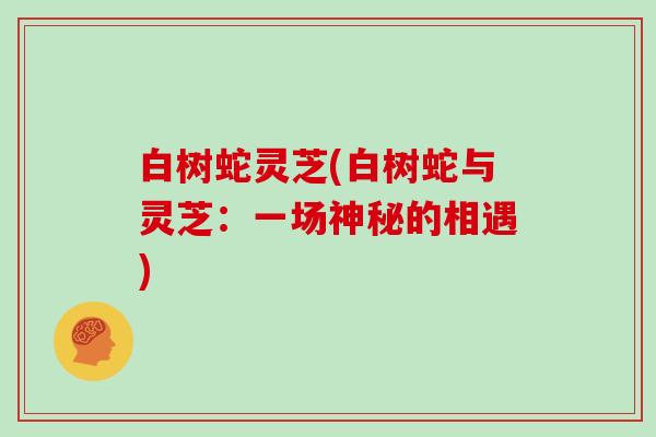 白树蛇灵芝(白树蛇与灵芝:一场神秘的相遇)