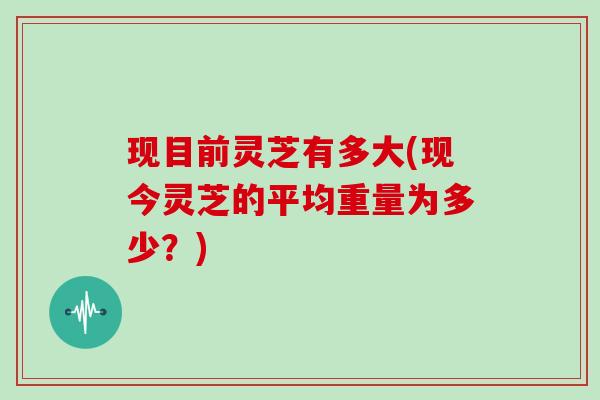 现目前灵芝有多大(现今灵芝的平均重量为多少?)