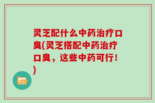灵芝配什么中药治疗口臭(灵芝搭配中药治疗口臭，这些中药可行！)
