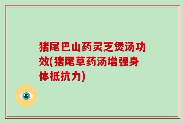 猪尾巴山药灵芝煲汤功效(猪尾草药汤增强身体抵抗力)