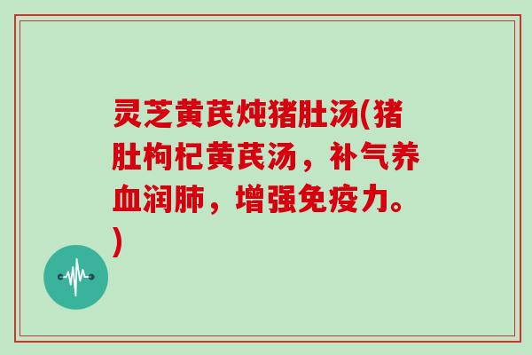 灵芝黄芪炖猪肚汤(猪肚枸杞黄芪汤,补气养血润肺,增强免疫力。)