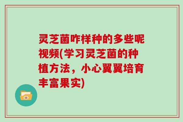 灵芝菌咋样种的多些呢视频(学习灵芝菌的种植方法,小心翼翼培育丰富果实)