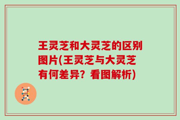 王灵芝和大灵芝的区别图片(王灵芝与大灵芝有何差异?看图解析)