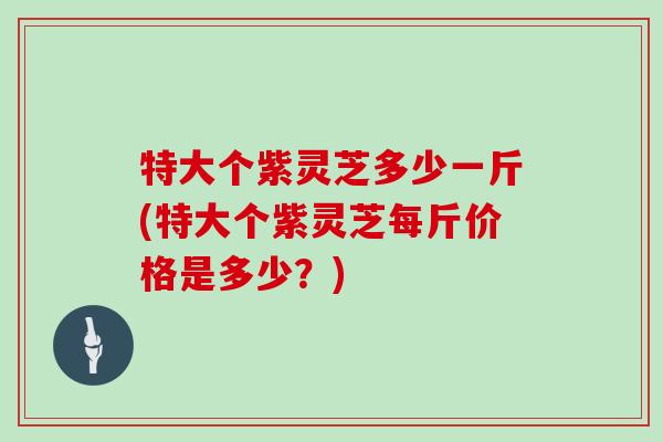 特大个紫灵芝多少一斤(特大个紫灵芝每斤价格是多少?)