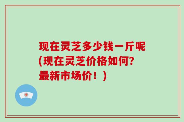 现在灵芝多少钱一斤呢(现在灵芝价格如何？最新市场价！)