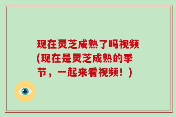 现在灵芝成熟了吗视频(现在是灵芝成熟的季节,一起来看视频!)